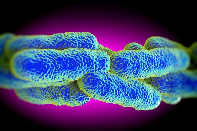 Legionella Risk Assessment (LRA)